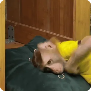 🪷 e8c1c6c0 telegram sticker