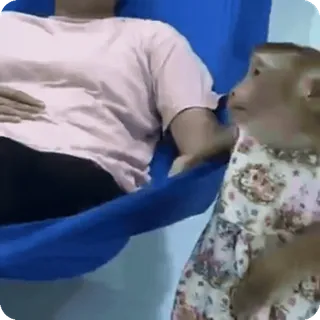 🪷 f6696ecd telegram sticker