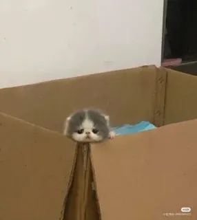 Больше стиков тут: @stikery4 telegram stickers