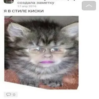 🫡 3e0cfcc2 Я в стиле киски mèo, kính, hài hước, động vật, mặt, mèo con whatsapp sticker