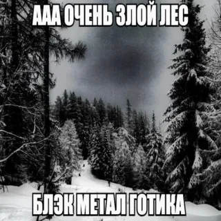 😀 b54ee0b6 ААА ОЧЕНЬ ЗЛОЙ ЛЕС
БЛЭК МЕТАЛ ГОТИКА rừng, black metal, gothic, mùa đông, tuyết, cây, tối whatsapp sticker