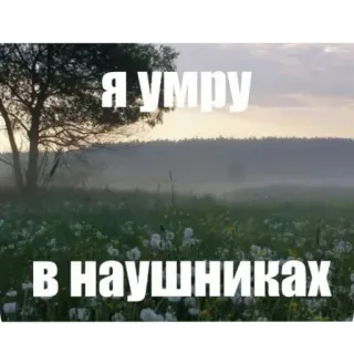 🌌 07411823 Я умру в наушниках słuchawki, natura, pole, drzewo, smutek, śmierć, muzyka whatsapp sticker