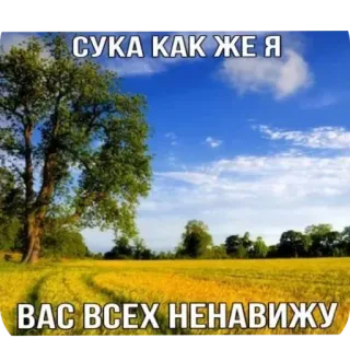 🌌 17c168ba СУКА КАК ЖЕ Я 
ВАС ВСЕХ НЕНАВИЖУ rosyjski, nienawiść, obraźliwe, przekleństwa, obelga, natura, drzewo, pole whatsapp sticker