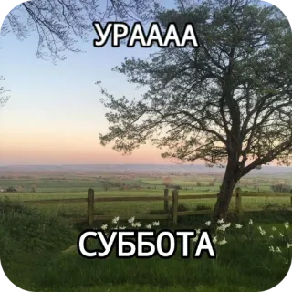 👏 2f70c692 УРААА
СУББОТА natura, pole, drzewo, niebo, zachód słońca whatsapp sticker