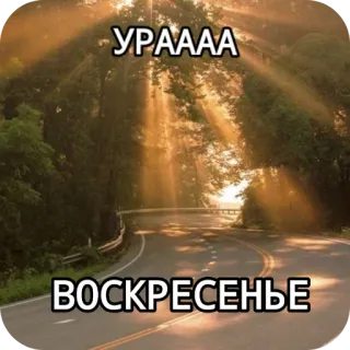 👏 4043fc01 УРААА
ВОСКРЕСЕНЬЕ światło słoneczne, droga, drzewa, krajobraz, natura, niedziela whatsapp sticker