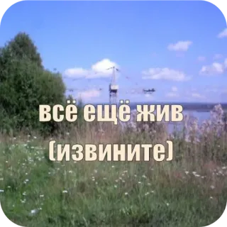 🌾 8f9fe922 всё ещё жив
(извините) natura, krajobraz, rosyjski, tekst, przepraszam whatsapp sticker