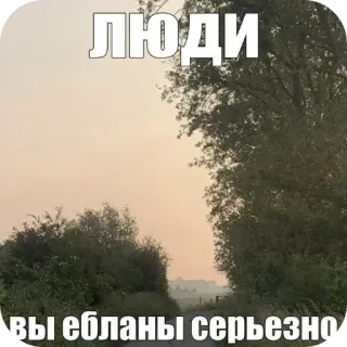 🖼 b296e3cb ЛЮДИ
вы ебланы серьезно rosyjski, mem, krajobraz, obraźliwe whatsapp sticker