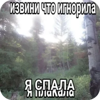 🌲 b5e3016a извини что игнорила
Я СПАЛА
Я ПЛАКАЛА las, przepraszam, płacz, spać, natura, mem whatsapp sticker
