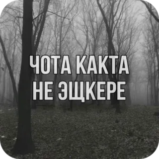 😭 edad3ce5 ЧОТА КАКТА
НЕ ЭЩКЕРЕ tekst, fraza, rosyjski whatsapp sticker