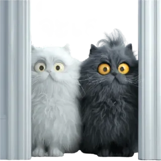 😳 eeba26b6 จะเฝ้า 猫, 動物, ペット, 見ている, 見張り, 可愛い telegram sticker