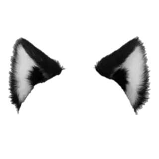 😾 e0d35ea8 Oreilles de chat, Oreilles, Animal, Cosplay, Furry, Accessoire telegram sticker