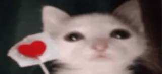 💘 61c99f05 고양이, 동물, 하트, 사랑, 스티커 telegram sticker