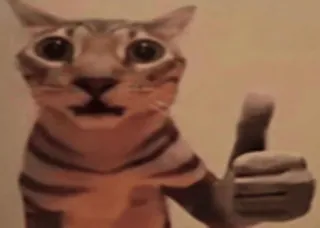 😯 bd3912ae 고양이, 좋아요, 동물, 밈, 승인, 긍정적 telegram sticker