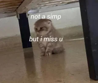🥹 496b734b not a simp
but i miss u kucing, meme, kangen, sedih, simp, imut, anak kucing telegram sticker