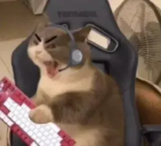 🤬 f48e1b0b kucing, gamer, keyboard, headset, lucu, hewan, meme, marah telegram sticker