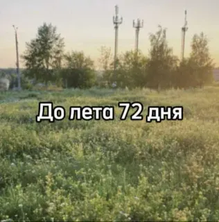 ☀️ 2749689d До лета 72 дня musim panas, hari, hitung mundur, alam, ladang, rusia telegram sticker