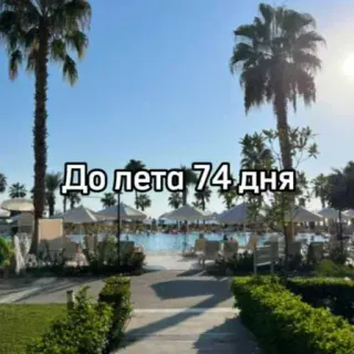 ☀️ 492de6e5 До лета 74 дня musim panas, perjalanan, liburan, kolam renang, pohon palem, hari menuju musim panas, pantai telegram sticker