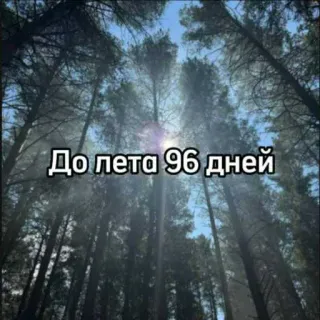☀️ 7bc255f2 До лета 96 дней musim panas, pohon, hutan, alam, hitung mundur, hari telegram sticker