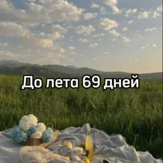 ☀️ a8cb0f80 До лета 69 дней musim panas, piknik, alam, rumput, hari, menghitung, bunga telegram sticker