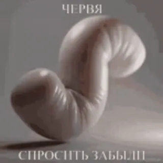 🤩 a46cfb45 ЧЕРВЯ
СПРОСИТЬ ЗАБЫЛИ 벌레, 질문, 잊혀진, 러시아어 텍스트 telegram sticker