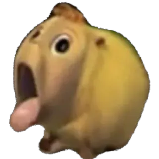 🫥 24bcbe79 animale, meme, scioccato, divertente, adesivo telegram sticker