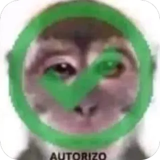 🫥 451ca14e AUTORIZO scimmia, spunta, ok, approvato, autorizzazione, meme telegram sticker