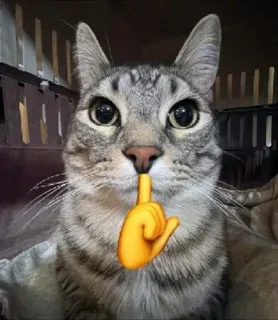 🤫 41678b1e chat, chut, doigt, emoji, silence, calme telegram sticker