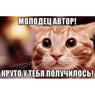 👍 7719643e МОЛОДЕЦ АВТОР!
КРУТО У ТЕБЯ ПОЛУЧИЛОСЬ! chat, mème, russe, drôle, animal telegram sticker