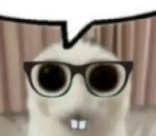 🥺 973f2e9d animal, rongeur, lunettes, intello, drôle, mème telegram sticker