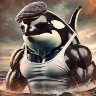 🤩 ad9a6858 Orca, Ballena, Antropomorfo, Musculoso, Sombrero, Mar, Agua telegram sticker