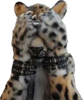 🙈 9919aa1f Leopard, Tier, Katze, Verdeckte Augen, Lederriemen, Schnallen, Meme telegram sticker
