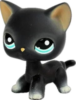 🐈‍⬛ b72b28ab Katze, Tier, Spielzeug, schwarze Katze, süß, Haustier telegram sticker