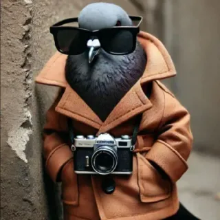🤩 9bb8ed7b paloma, pájaro, fotógrafo, cámara, gafas de sol, animal, urbano, ciudad, chaqueta telegram sticker