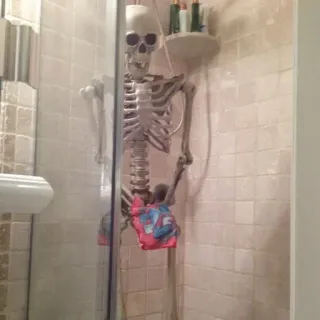 😁 17ad896f esqueleto, chuveiro, banheiro, halloween, anatomia, engraçado, ossos telegram sticker