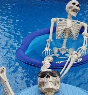 😳 1879ed92 esqueleto, piscina, natação, óculos de sol, relaxamento, verão telegram sticker