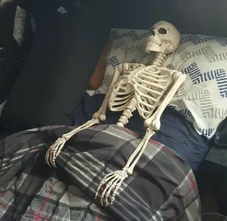 😳 26075fb7 esqueleto, cama, sono, ossos, morte, descanso, humano, anatomia telegram sticker