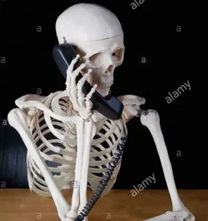 😜 2ca12280 esqueleto, telefone, ossos, humor, halloween, morte, assustador telegram sticker