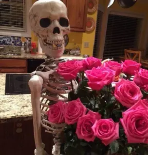 😁 4e1c9d4c esqueleto, rosas, engraçado, amor, dia dos namorados, humor telegram sticker
