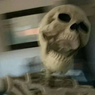 😱 63def115 esqueleto, crânio, anatomia, ossos, humano, assustador, halloween telegram sticker