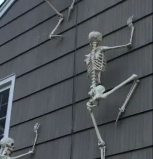 ☺️ 7127c306 esqueleto, halloween, decoração, casa, ossos telegram sticker