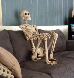 ❤️ 817030ef esqueleto, sofá, esperando, ossos, engraçado, relaxante telegram sticker