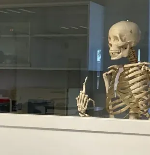 😁 885c5527 esqueleto, dedo do meio, anatomia, gesto ofensivo, ossos telegram sticker