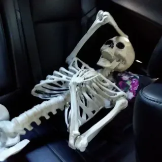 Больше стиков тут: @stikery4 telegram stickers