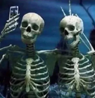 😎 b2a827b2 esqueleto, selfie, halloween, ossos, humor, morte telegram sticker