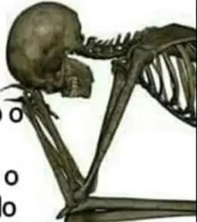 😁 c260c18e esqueleto, anatomia, osso, humano, corpo, médico telegram sticker