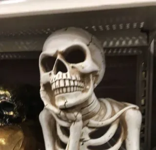 😘 c439c1d2 esqueleto, anatomia, ossos, halloween, caveira, morte, humano telegram sticker