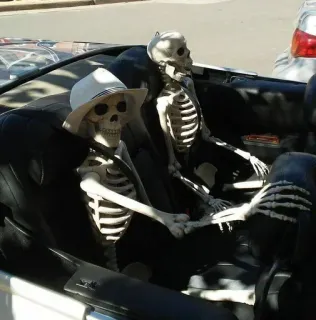 ❤️ cb1740ea esqueletos, carro, dirigindo, humor, engraçado, ossos telegram sticker