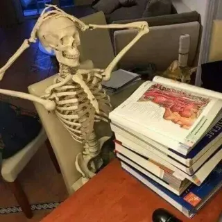 😱 cde5227a esqueleto, estudando, anatomia, livros, humor, ossos telegram sticker