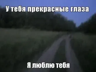 👀 1633a542 У тебя прекрасные глаза
Я люблю тебя ogen, liefde, weg, natuur telegram sticker