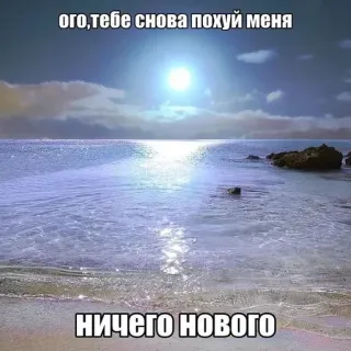 😇 2cf39dfe Ого, тебе снова похуй меня НИЧЕГО НОВОГО oceaan, strand, zee, humor, meme, russisch telegram sticker